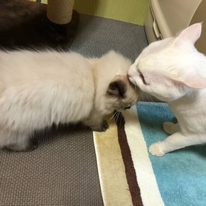 0cd656cb 2321 492f 9c25 4f193fc685c9 1632315311382