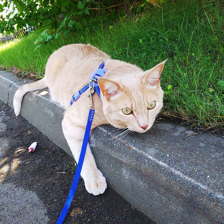 0cd678c6 30a3 4b5c 9e4f 22e9918f5843 1600741319843