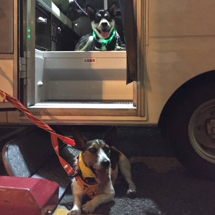 0cd6e236 8f88 4b80 8dbc 76dc6befe4b4 1537274054284