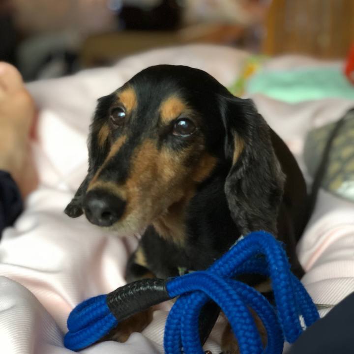 0cd707fb 1a53 4412 a6b6 a71ecc292562 1534250124217