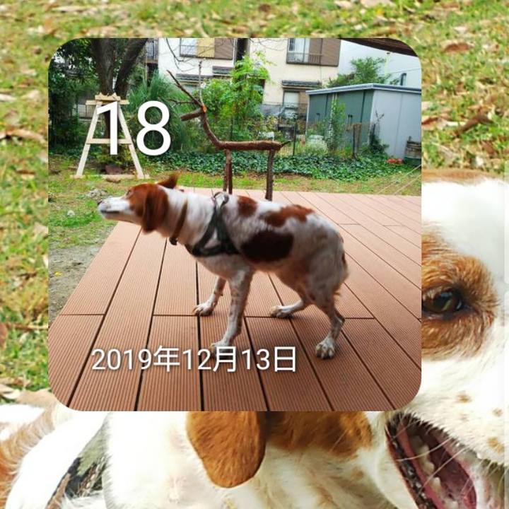0cd73472 6ce3 4dac a915 462a56bd12eb 1639793274101