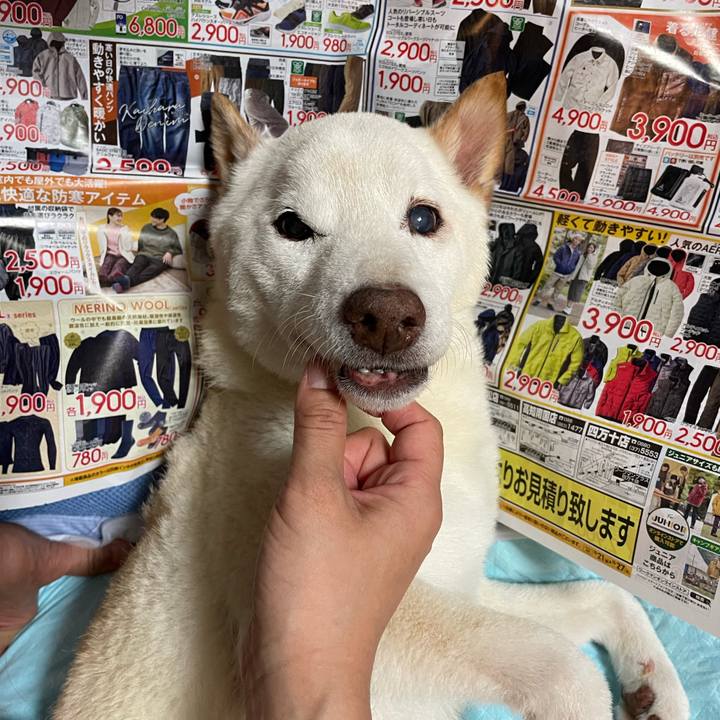 0cd73d6d 4840 49bb 902b 70806ed8e881 1666565759752