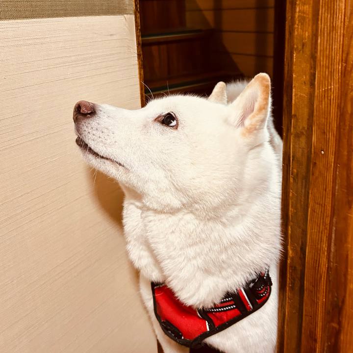 0cd78b2a e8ca 43e6 8962 3194d1e847a0 1767420427850