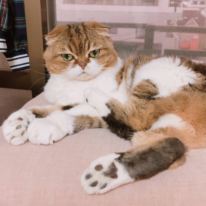 0cd79a41 702a 409a 90d7 4e3c7945567e 1562237901377