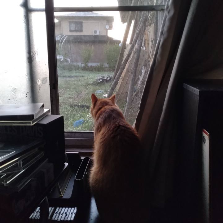 0cd7a07b aa63 4773 b3cb a36a7d96bc81 1694037898318