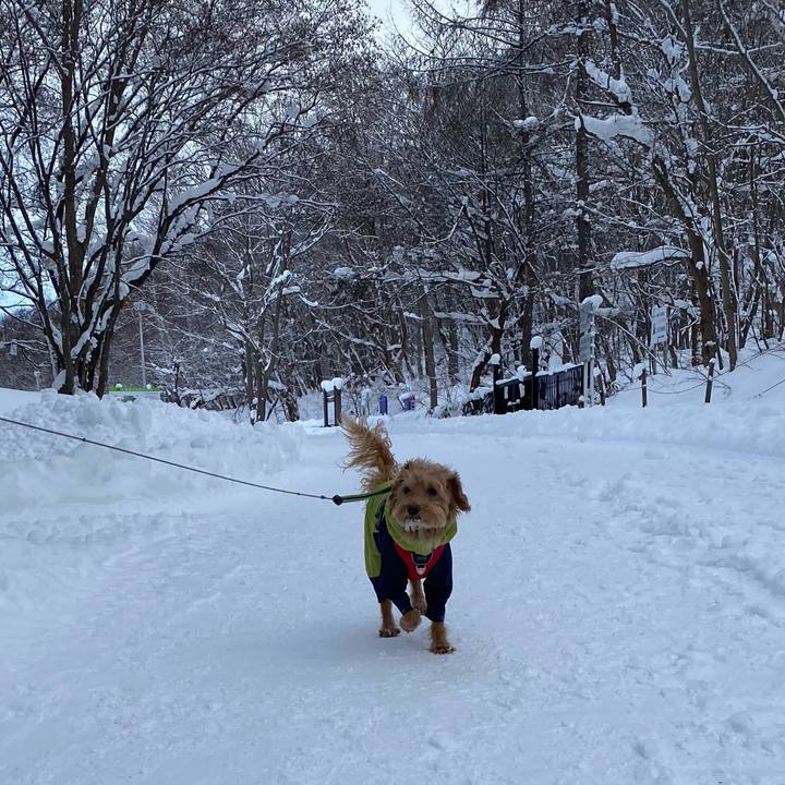 0cd7cd01 c23a 4775 a559 ea1260991970 1671423391948