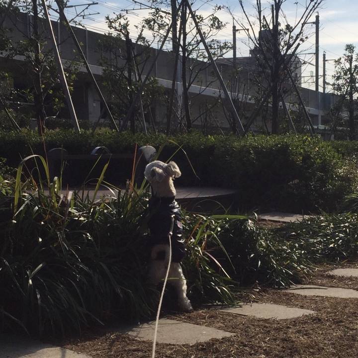 0cd816ee 5acb 449e a05f d28aee65e9a6 1545307167403