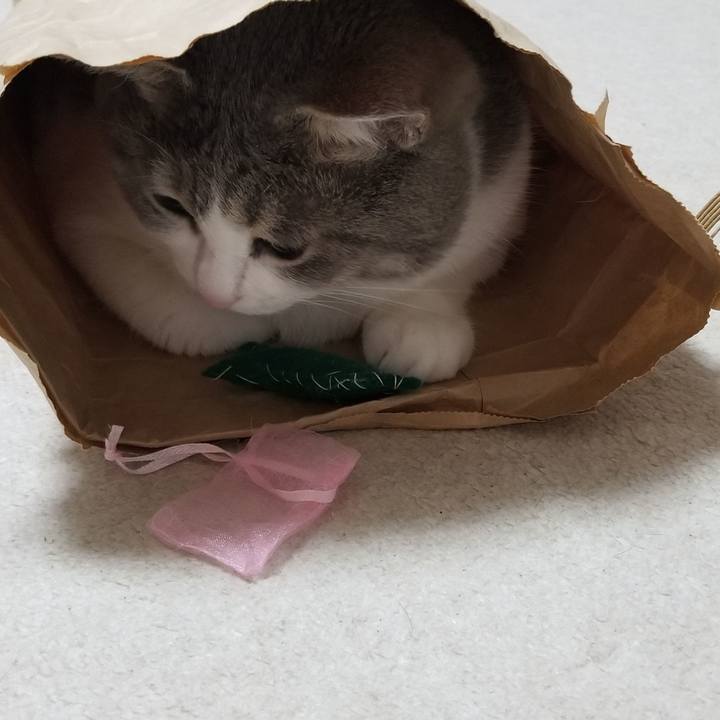 0cd82c49 306a 4d5b a447 8b887832dba9 1594124829978