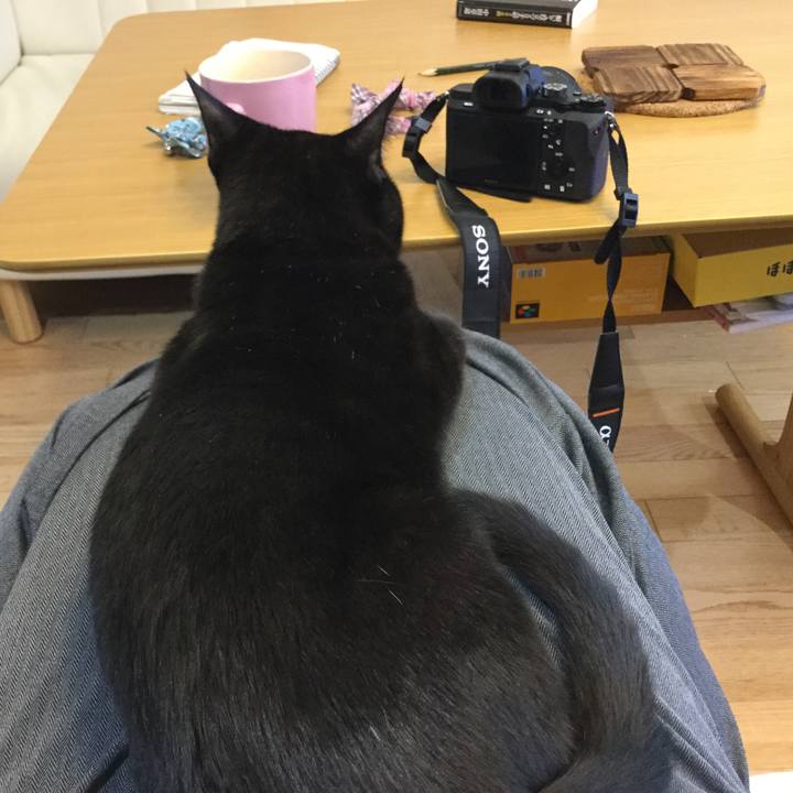 0cd842d0 b378 4246 b351 ce6ea92e6a28 1513726174920