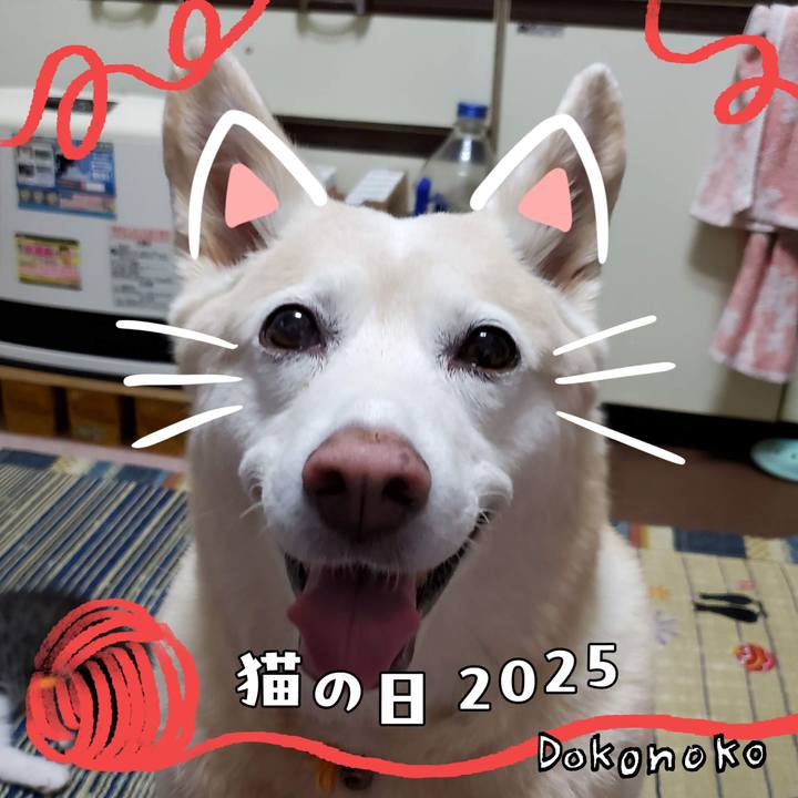 0cd84844 dfe1 470d 87de 84bc0485d442 1740277737571