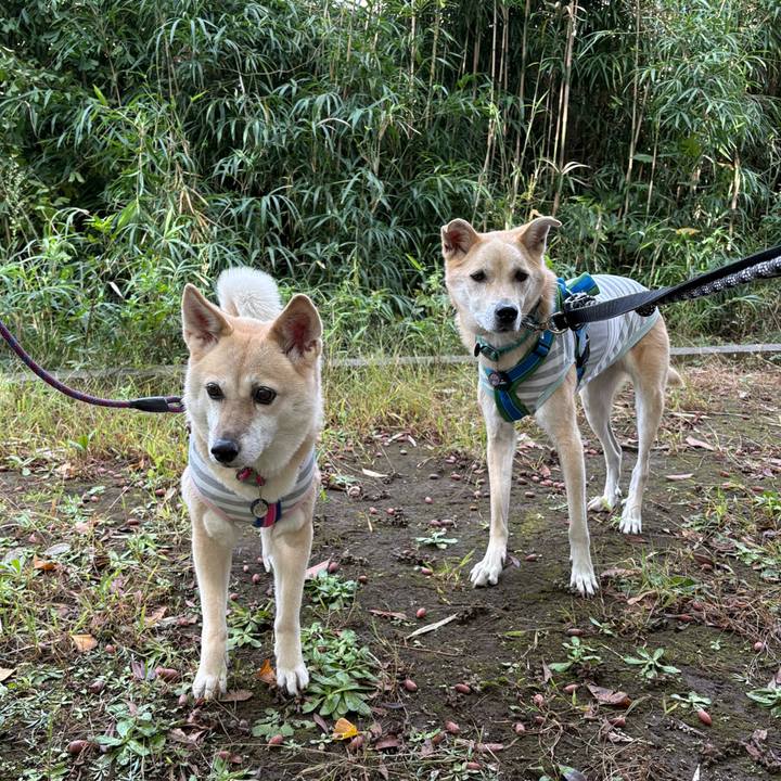 0cd855a0 b288 4814 ac96 efc3289cee57 1762070565156