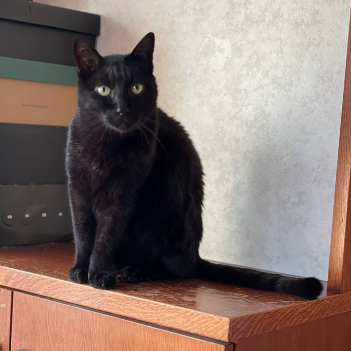 0cd88508 0540 4f19 84a1 105e5da80f7e 1649641344191