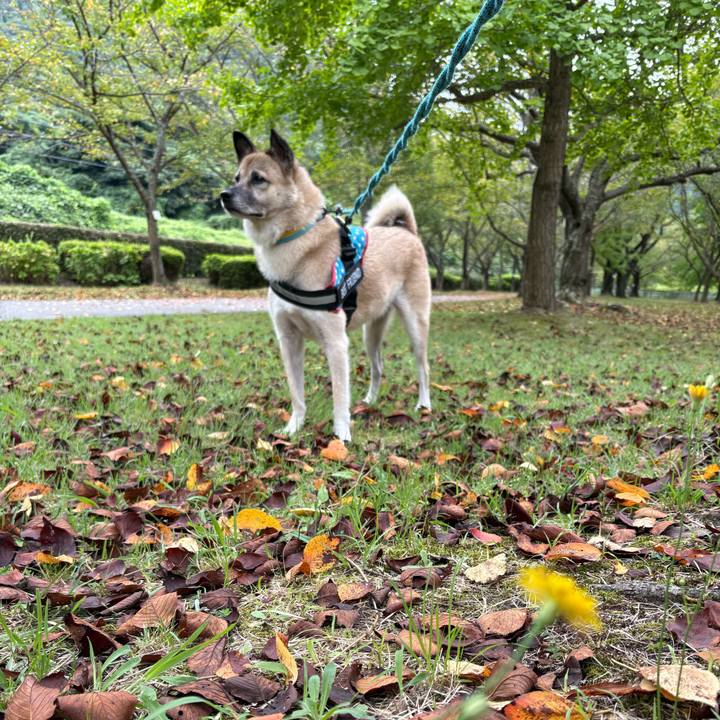 0cd88d03 0bab 463f 9b89 d5aa6a3e575f 1759048326781