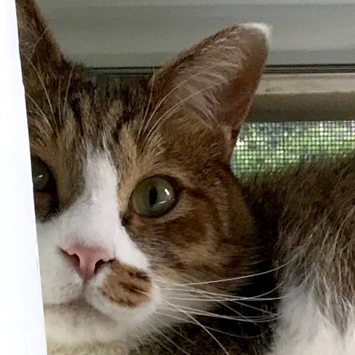 0cd88d97 367b 41cf 9bd2 bd13f6daccaf 1569914170044