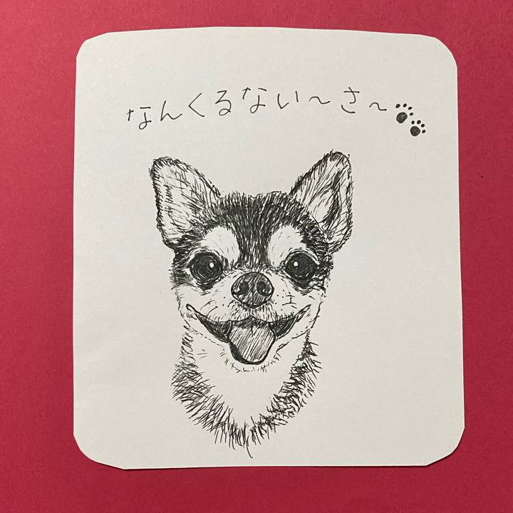 0cd8da04 a8dc 4d38 a31c 181490b7657f 1625977828515