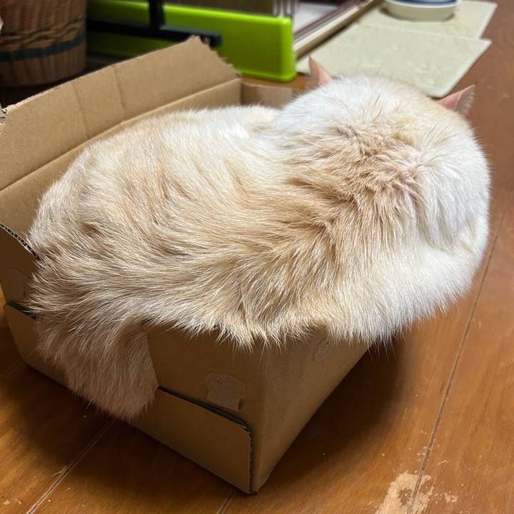 0cd8fa86 91da 4b8f 86dd 55fe4b417595 1758185282643