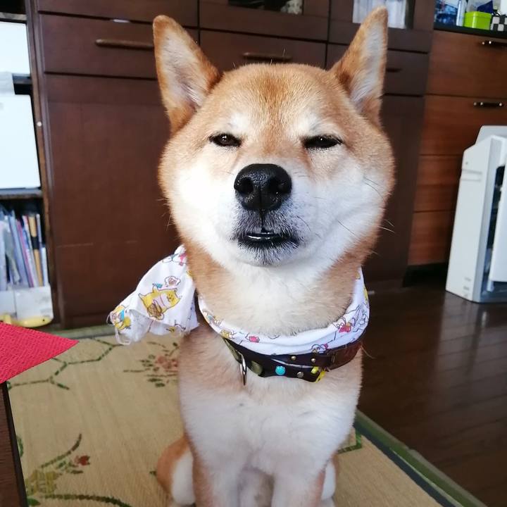 0cd91bdd 5792 4ed8 ac7e 6209cfc36e72 1624860702122