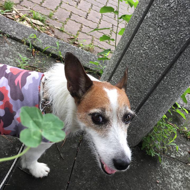 0cd928d7 ba83 4f72 b161 ba9593f6e9f8 1593304067669