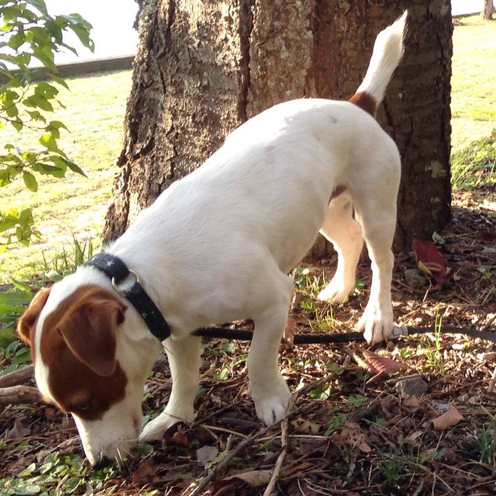 0cd933cd 2f57 4282 ba76 b9da7cb08b72 1511690719004