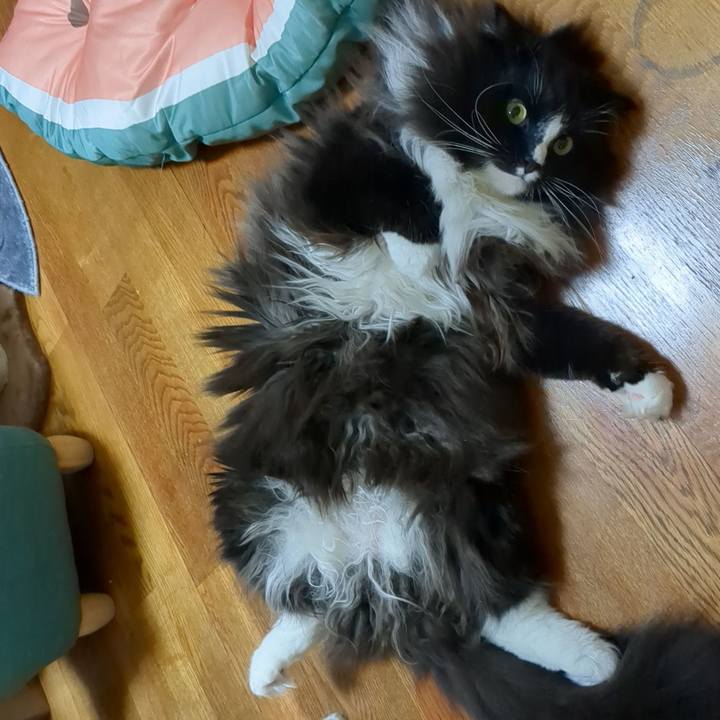 0cd93eee d382 4f6d ad69 5d1a80b466fb 1691112531722