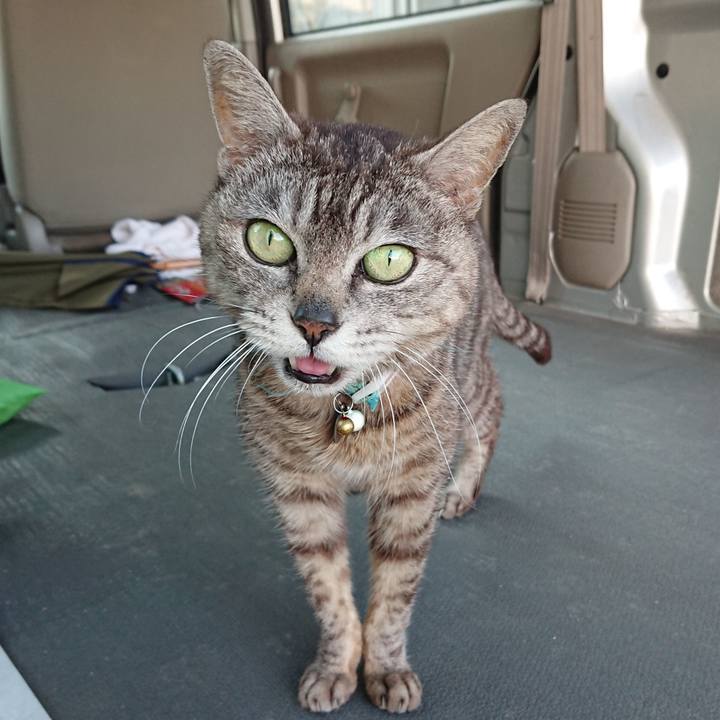 0cd97874 e62e 46f9 88ee f14c638f3cf7 1561022383973