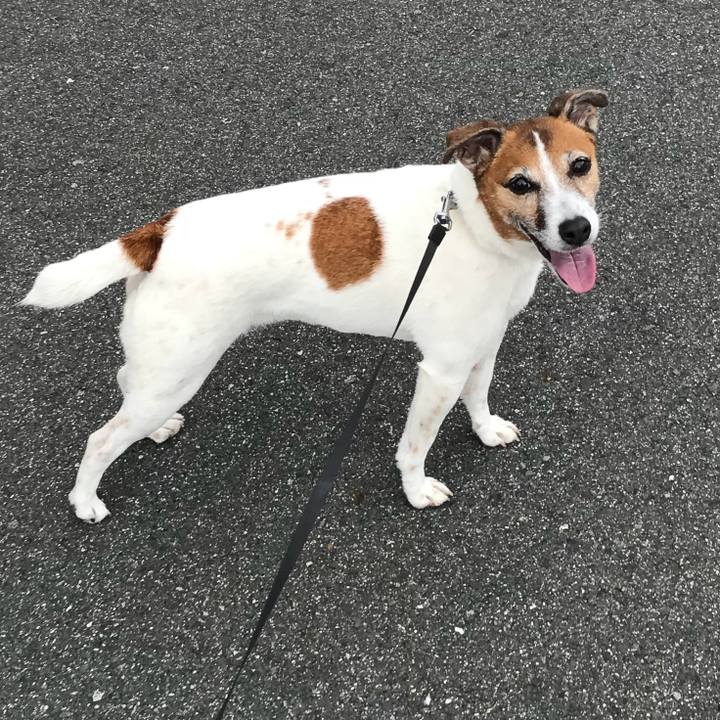 0cd97b7e b149 4b6a b44a 504a1595b357 1528166667975