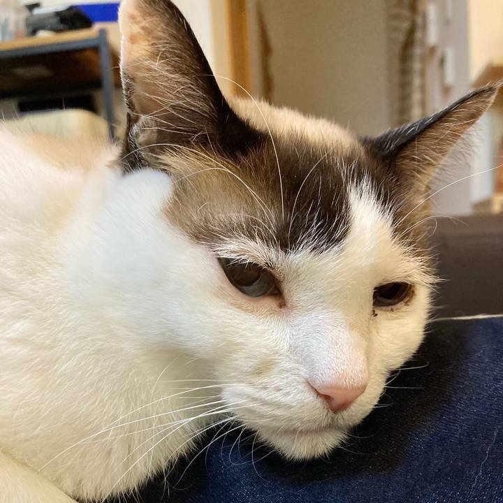 0cd9915b 6f2c 4d49 89ab d6ba7c0f4310 1647436502725