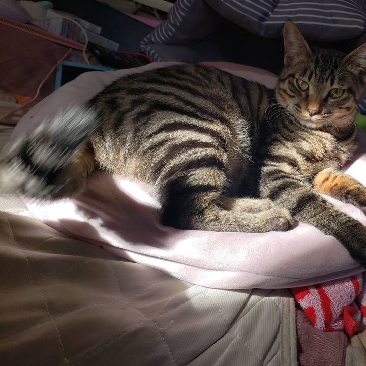 0cd99a8b 7831 4685 a66c 753698128146 1544924941294