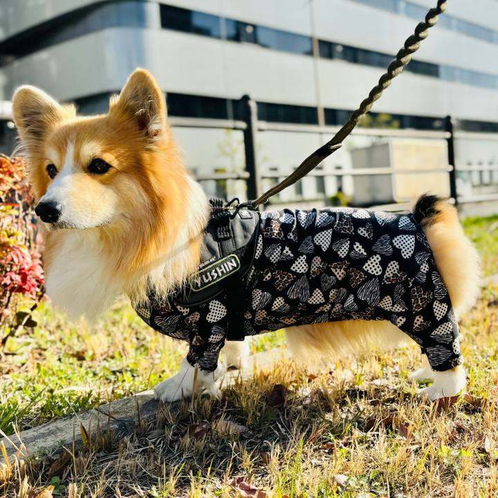 0cd9c7cd 2747 4e6e a757 e2b76ca66e1e 1773197526453