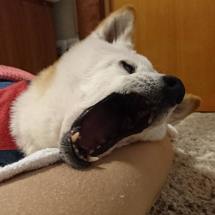 0cd9cc45 69c7 4009 9800 389c4a894f0e 1571357992469