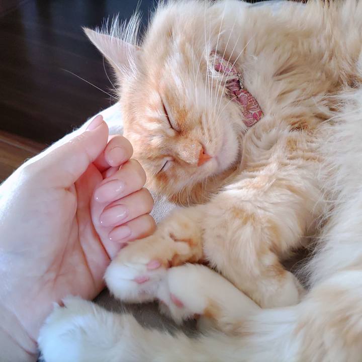 0cd9d212 fa12 48eb bbab 85d9e1ca0cd0 1690430360934