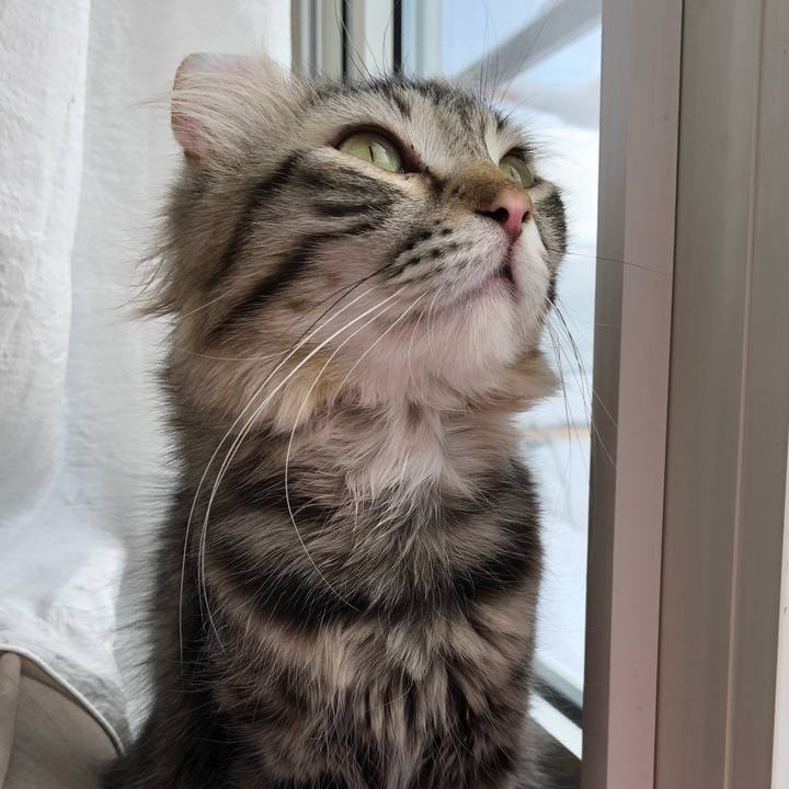 0cda06c1 df31 4b29 b741 051c9da2f555 1519354295449