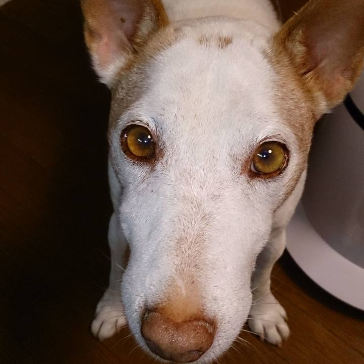 0cda078a e9b9 4ad5 857c d7366ac12638 1571888453289