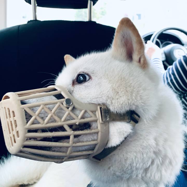 0cda8c86 01cb 4e8e 9266 43abee5241e2 1653785417945