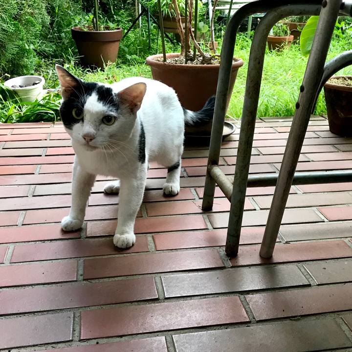 0cdad2f1 ba07 4981 86e0 05bb40a46b0c 1530093535278