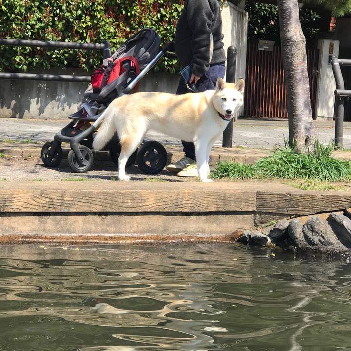 0cdae263 1fc3 44ff 80e7 b1deab3e6014 1521960284215