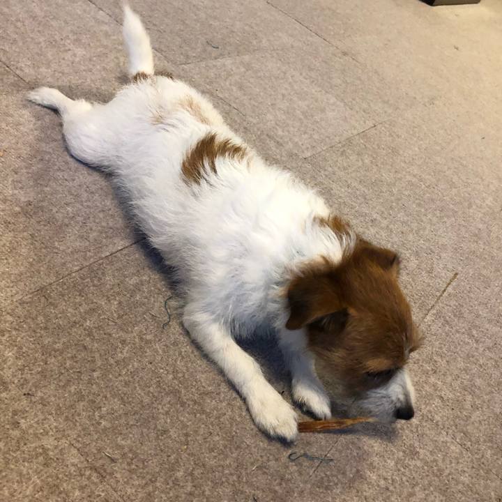 0cdb5117 2b0b 4a30 86ce 908a17b1c1f2 1570870539967