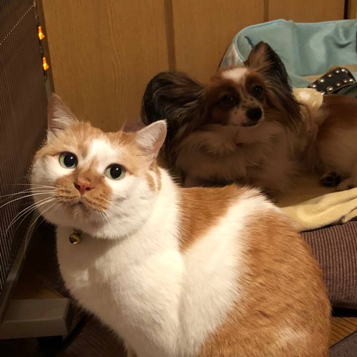 0cdb815c 203f 4cb8 bb32 4f9980503202 1515505356281