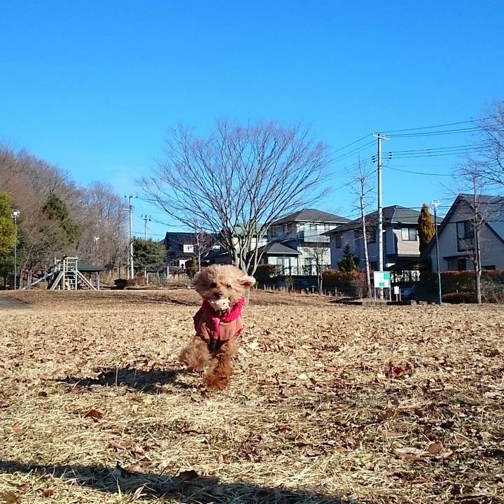 0cdb8669 7567 4409 a3c0 f37f444e12aa 1516411623442