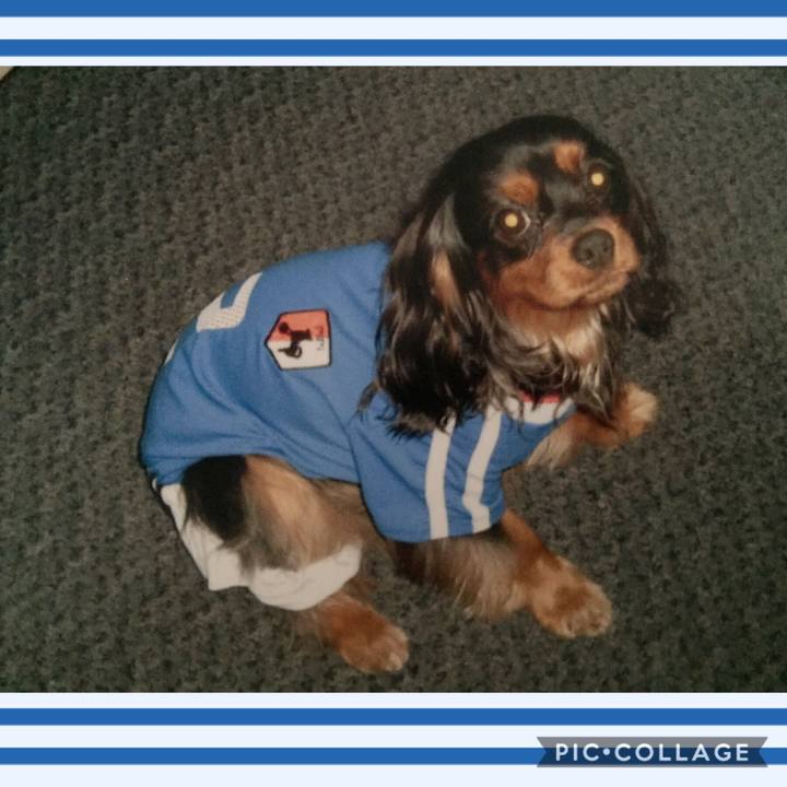 0cdb983a 8e41 4906 941d 006f6f5e8c7d 1570541391419