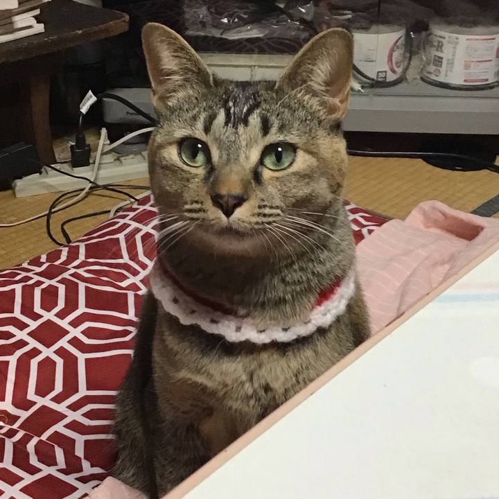 0cdbedfc 373e 4422 a6d2 53a6ef2704ad 1610097842181