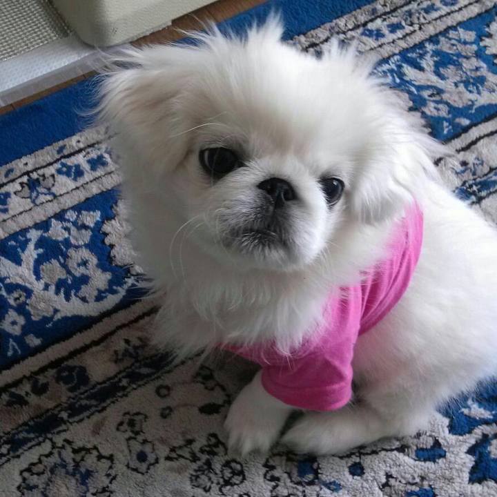 0cdc6dec 3f05 4066 bfdf 5048eedb9331 1670265796108