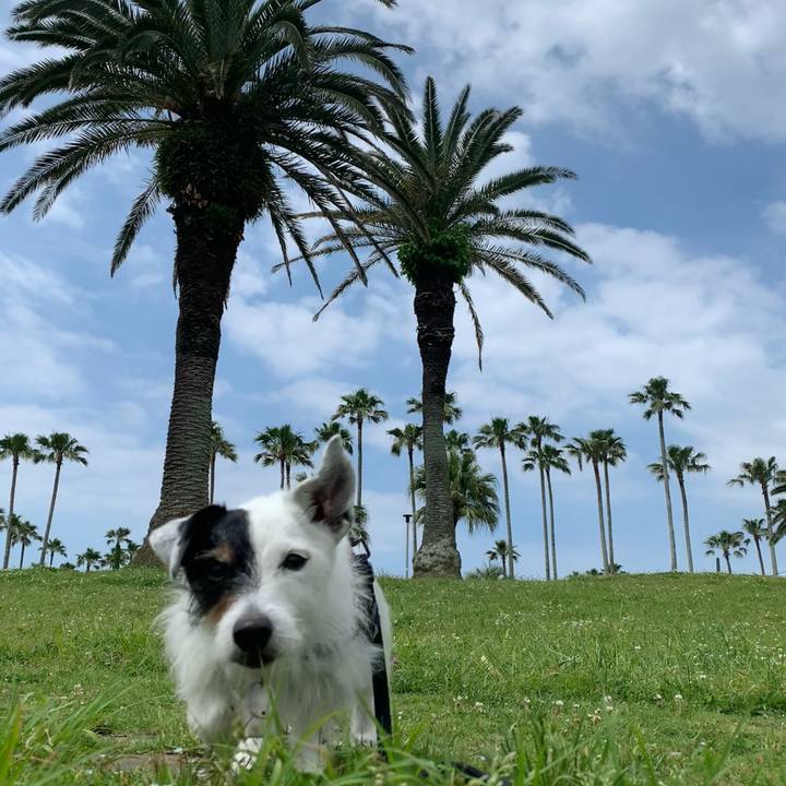 0cdca07d 28ae 40f2 a851 2de1f4fb835d 1716603894376