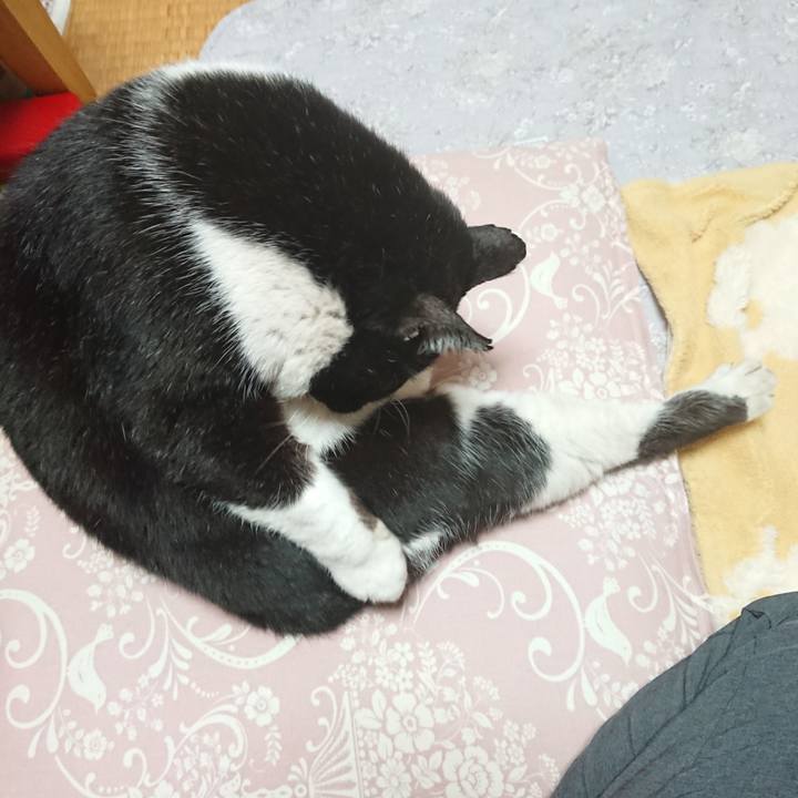 0cdce3a5 3f9a 41ec a030 e5aed59f163d 1673704865224