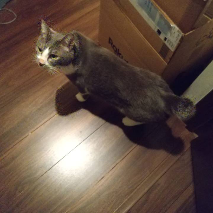 0cdcfd46 f3e7 40fe b521 eb786bda2f06 1639346443723