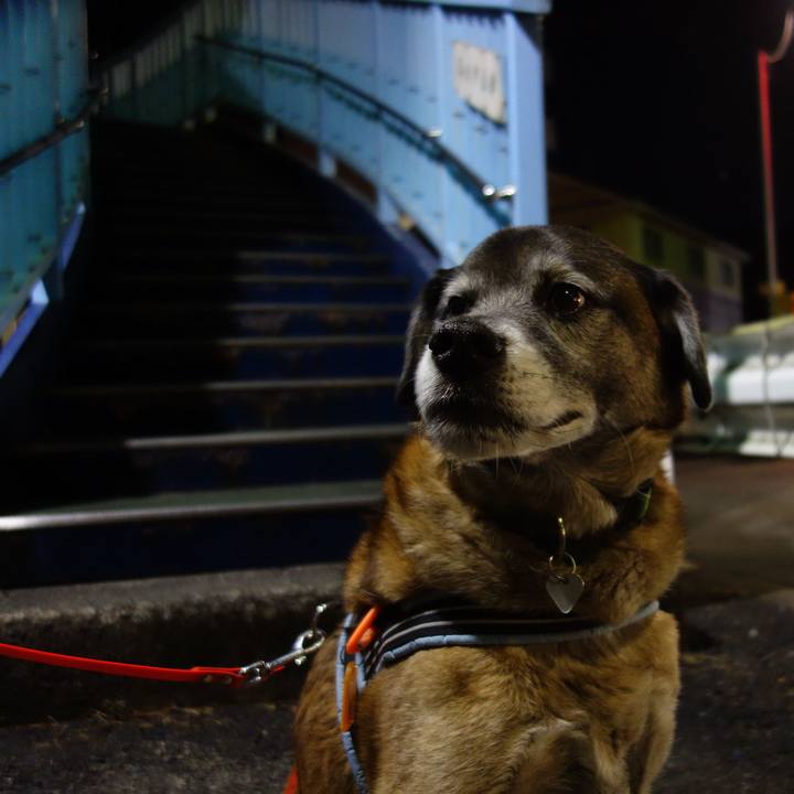 0cdd428a 5a11 438d a8b7 f8e1fba81ee1 1628814332660