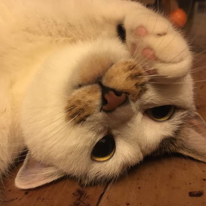 0cdd66aa e890 41dc 8598 8812cdc89eb7 1518318110539