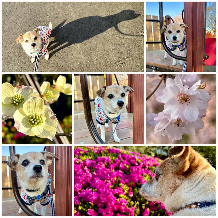 0cdd858b bbf1 4c4a a852 c04978f9f131 1680562807070