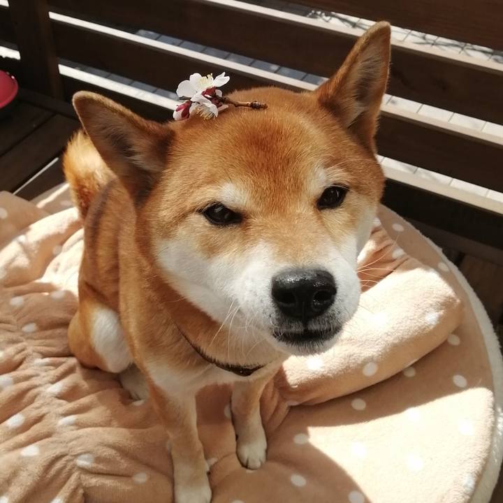 0cdd98bd b20e 4395 961b 6be78587996b 1614426355364