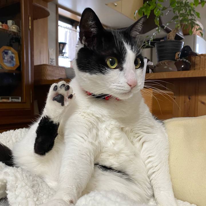 0cdd99cd 43eb 49d8 b8df d0068881a350 1643672226347